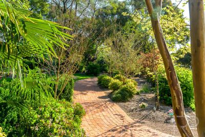 September 2023 / Erica-Court_230929_Z9C3957