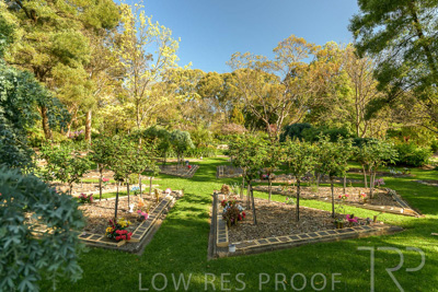 September 2023 / Erica-Court_230929_Z9C3993