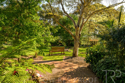 September 2023 / Erica-Court_230929_Z9C4005