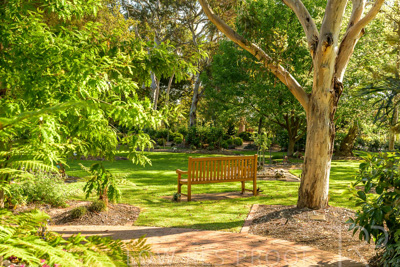 September 2023 / Erica-Court_230929_Z9C4008