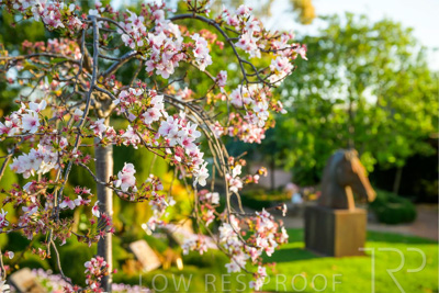 September 2023 / Flowers-Plants-close-ups_230928_Z9C2676