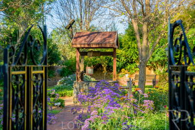 September 2023 / Garden-of-Wishes_230929_Z9C4185