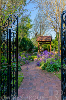 September 2023 / Garden-of-Wishes_230929_Z9C4200