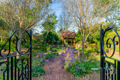 September 2023 / Garden-of-Wishes_230929_Z9C4206