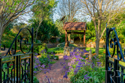 September 2023 / Garden-of-Wishes_230929_Z9C4212