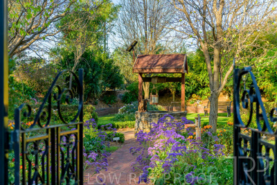 September 2023 / Garden-of-Wishes_230929_Z9C4215