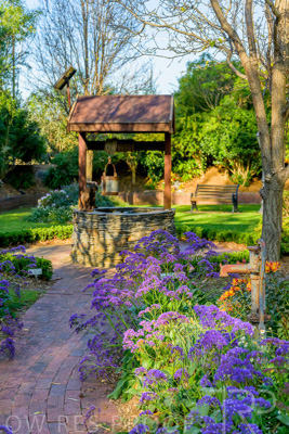 September 2023 / Garden-of-Wishes_230929_Z9C4221