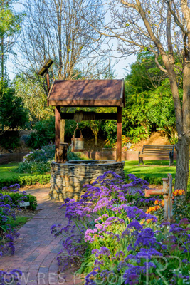 September 2023 / Garden-of-Wishes_230929_Z9C4230