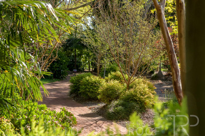 September 2023 / Generic-Gardens-Statues_230929_85E2471