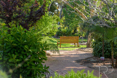 September 2023 / Generic-Gardens-Statues_230929_85E2480