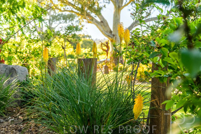 October 2023 / Generic-Gardens-Statues_231011_Z9C9700