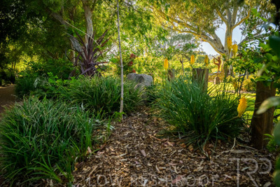 October 2023 / Generic-Gardens-Statues_231011_Z9C9710