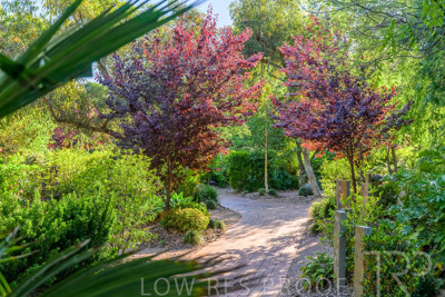 October 2023 / Generic-Gardens-Statues_231011_Z9C9725