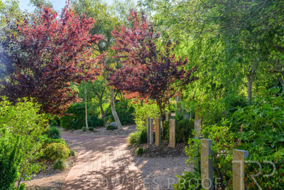 October 2023 / Generic-Gardens-Statues_231011_Z9C9730