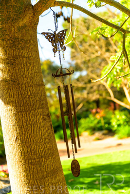 September 2023 / Gevillia-Court_230929_Z9C4083