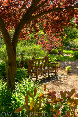 October 2023 / Gevillia-Court_231011_Z9C9850