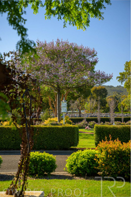 October 2023 / Giraffe-Statue_231011_Z9C9885