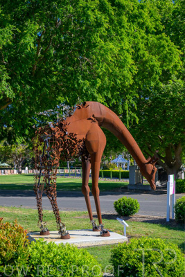 October 2023 / Giraffe-Statue_231011_Z9C9900