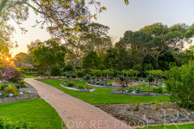 September 2023 / Hibiscus-Court_230928_Z9C3219