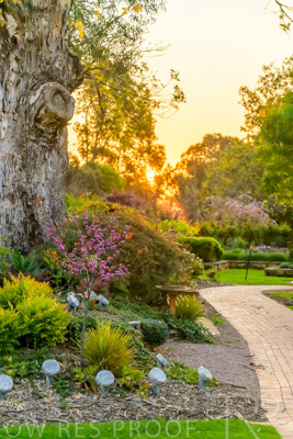 September 2023 / Hibiscus-Court_230928_Z9C3225