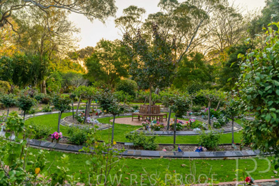 September 2023 / Hibiscus-Court_230928_Z9C3228