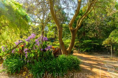 September 2023 / Hibiscus-Court_230929_Z9C4119