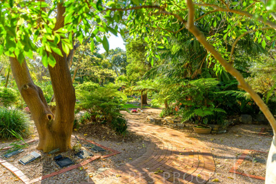 September 2023 / Hibiscus-Court_230929_Z9C4122