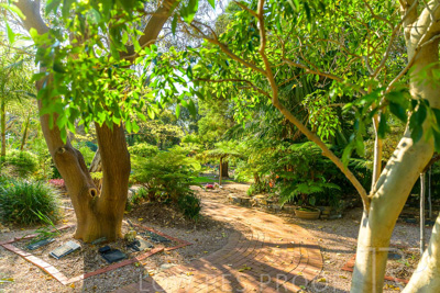 September 2023 / Hibiscus-Court_230929_Z9C4128