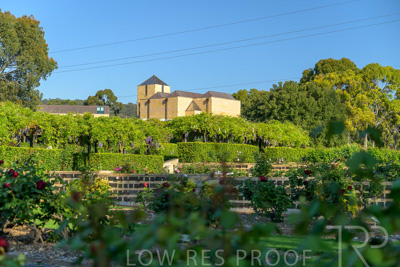 September 2023 / Jubilee-Complex-from-Charles-Newman_230928_Z9C2313