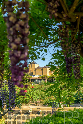 September 2023 / Jubilee-Complex-from-Charles-Newman_230928_Z9C2349