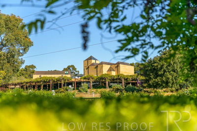 September 2023 / Jubilee-Complex-from-Charles-Newman_230928_Z9C2442