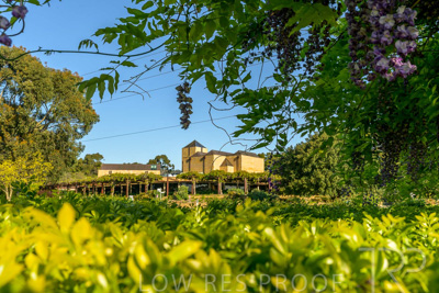 September 2023 / Jubilee-Complex-from-Charles-Newman_230928_Z9C2448