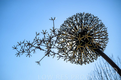 September 2023 / Make-A-WIsh-Statue_230928_Z9C2220