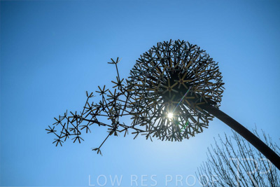 September 2023 / Make-A-WIsh-Statue_230928_Z9C2229