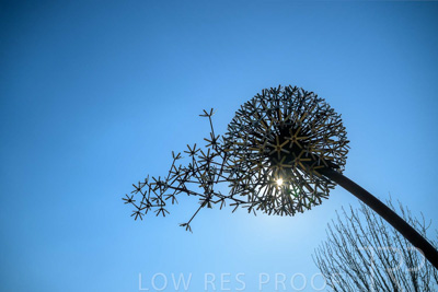 September 2023 / Make-A-WIsh-Statue_230928_Z9C2232