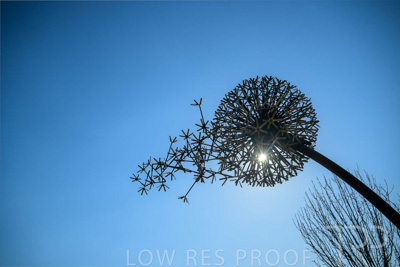 September 2023 / Make-A-WIsh-Statue_230928_Z9C2238