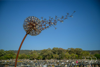 September 2023 / Make-A-WIsh-Statue_230928_Z9C2244