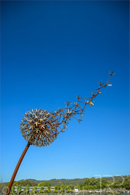 September 2023 / Make-A-WIsh-Statue_230928_Z9C2250