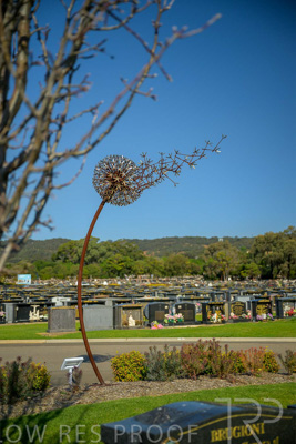 September 2023 / Make-A-WIsh-Statue_230928_Z9C2259