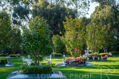 September 2023 / Martenique-Grove_230928_85E2123