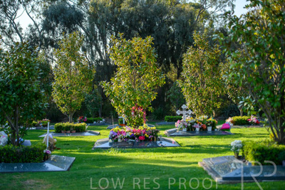 September 2023 / Martenique-Grove_230928_85E2129