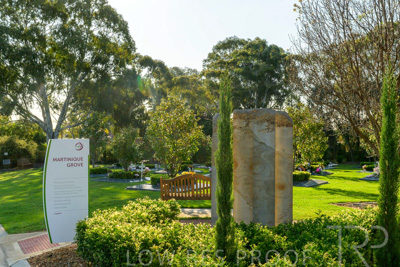 September 2023 / Martenique-Grove_230928_Z9C2532