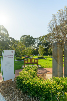 September 2023 / Martenique-Grove_230928_Z9C2535