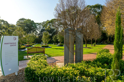 September 2023 / Martenique-Grove_230928_Z9C2541