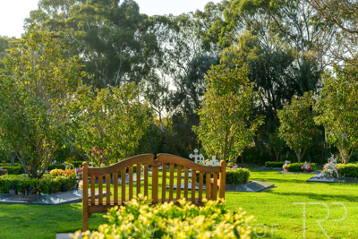 September 2023 / Martenique-Grove_230928_Z9C2544