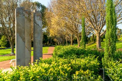 September 2023 / Martenique-Grove_230928_Z9C2550