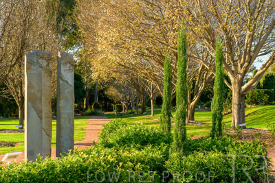 September 2023 / Martenique-Grove_230928_Z9C2556