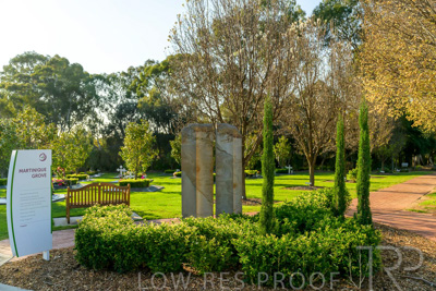 September 2023 / Martenique-Grove_230928_Z9C2562