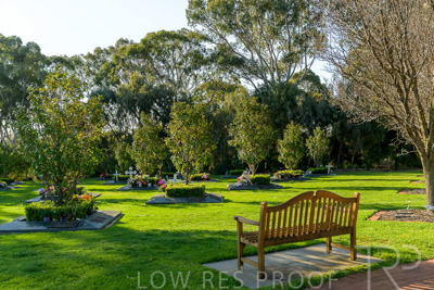 September 2023 / Martenique-Grove_230928_Z9C2568