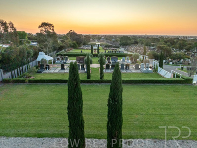 September 2023 / Olive-Grove_230928DJI_0124